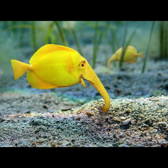 🌍five star seller - check my love notes - Picture 15 of 16